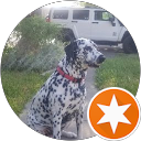 David Floyd profile picture